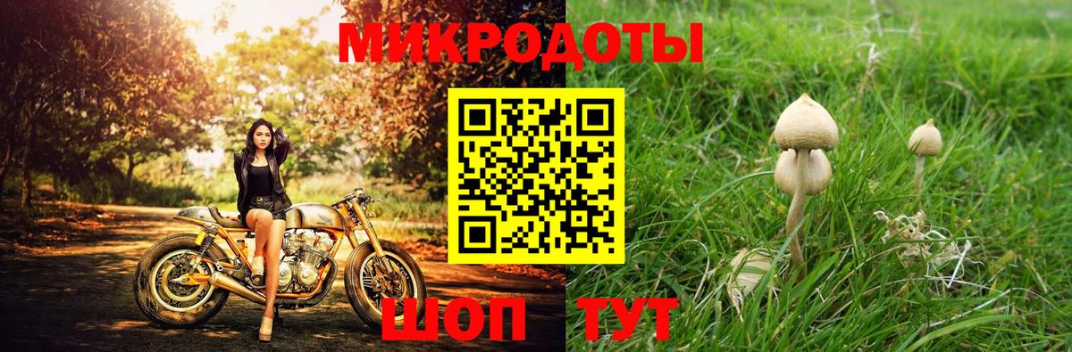 Псилоцибиновые грибы Psilocybine cubensis  Псилоцибиновые грибы Psilocybe  Вход с VPN  Алушта 