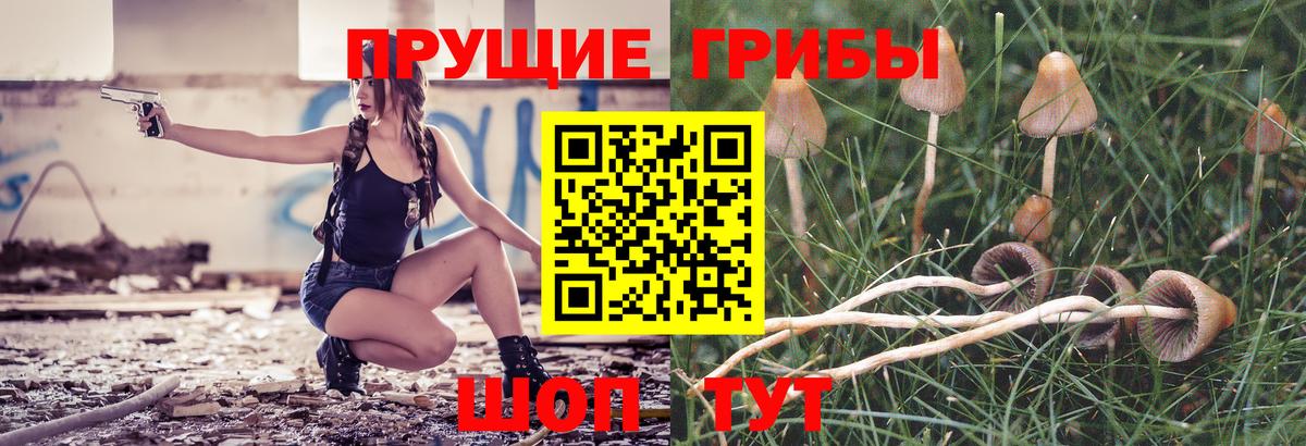Галлюциногенные грибы мухоморы Алушта